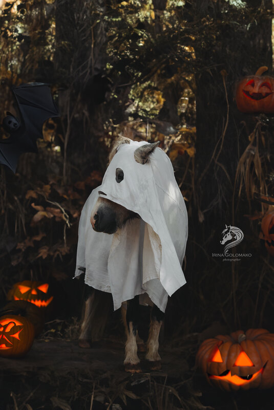 *** - Ирина Голомако