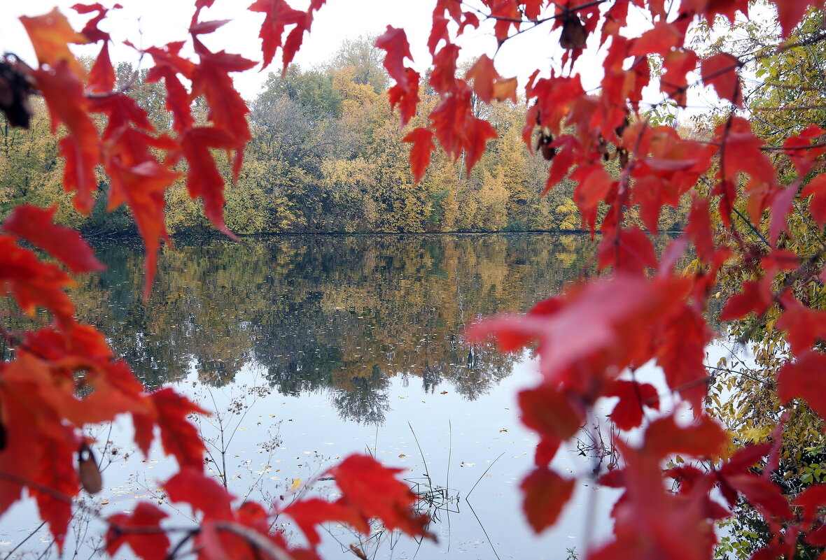 Коломенское 8 октября - Михаил Бибичков