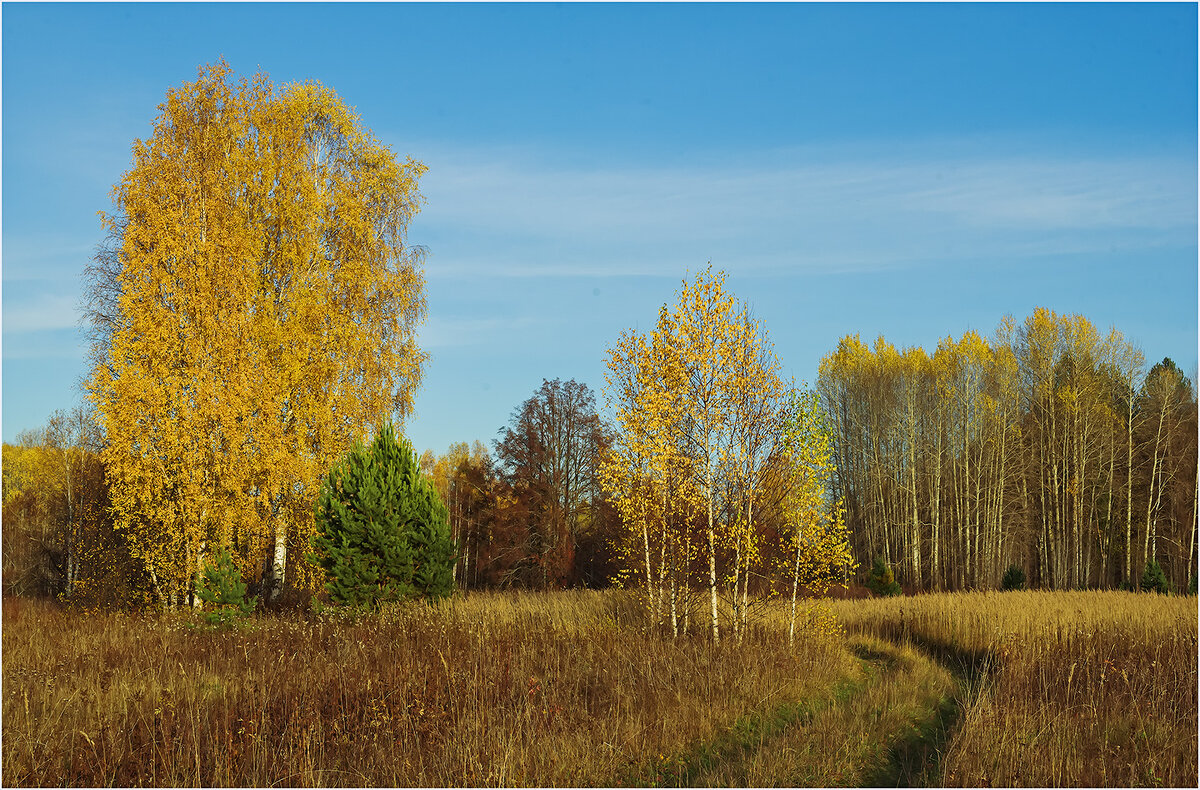 Осенний этюд - Валентин Котляров