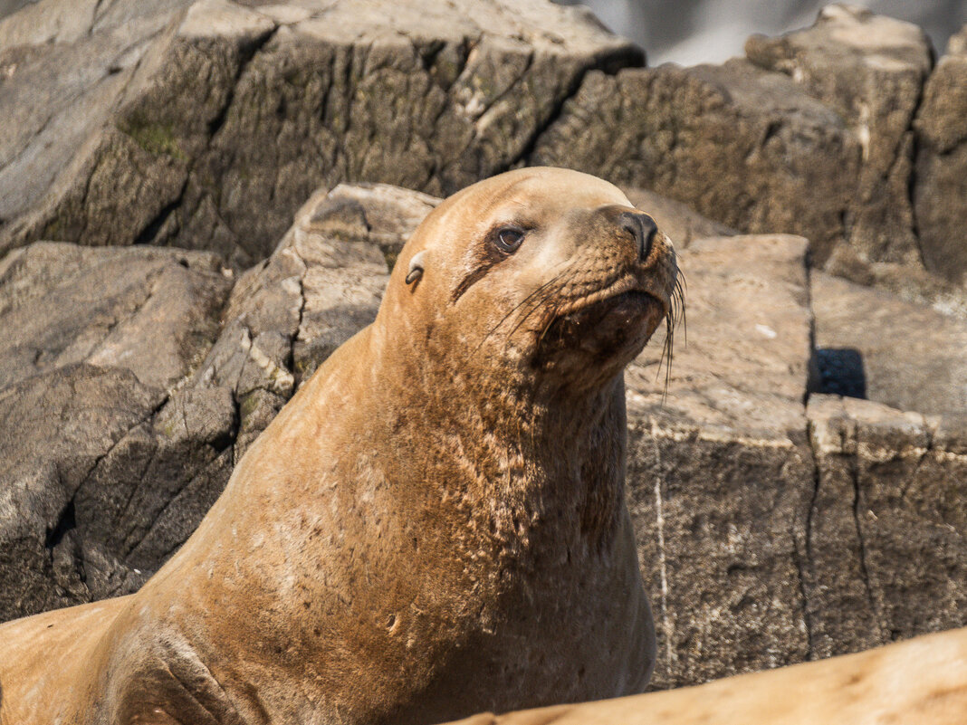... - Жора Житников