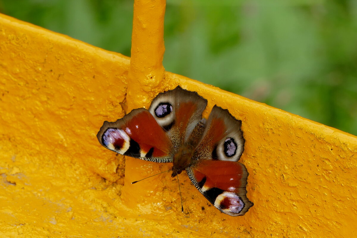 из вчерашней съёмки 1 - Александр Прокудин из вчерашней съёмки 1 - Александр Прокудин