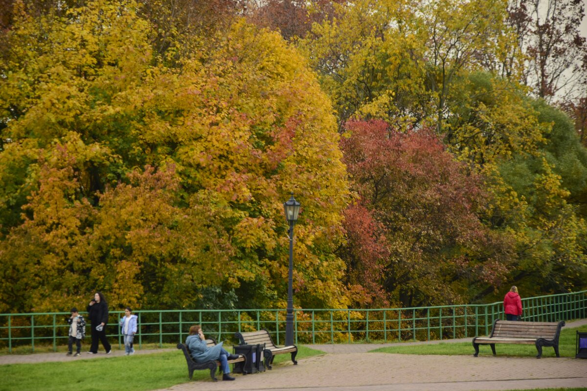 Парк - Мария Яковлева