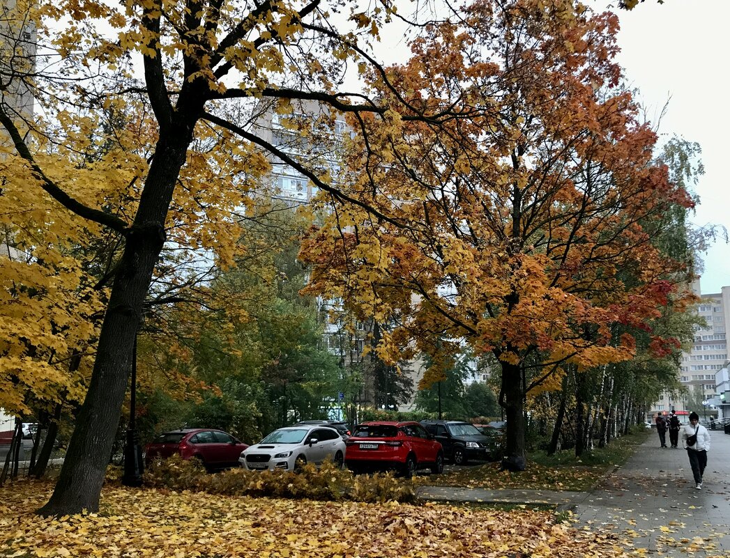 В городе осень… - Любовь 