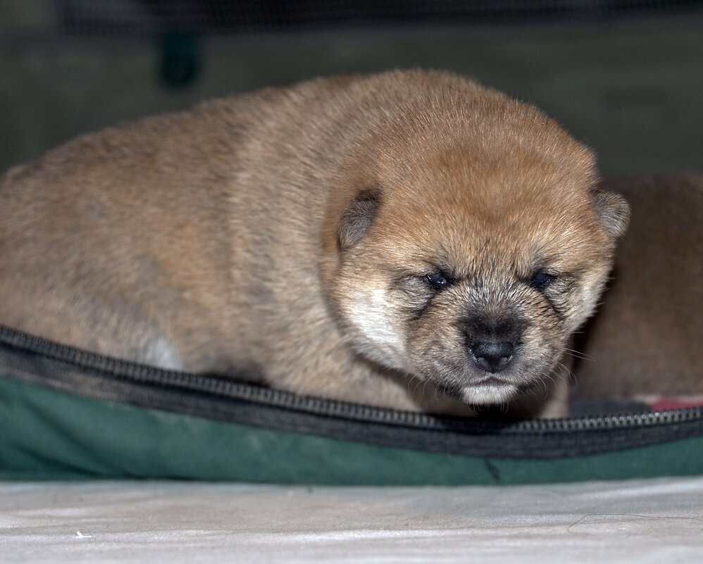 Чё те надо? - Валерий Иванович