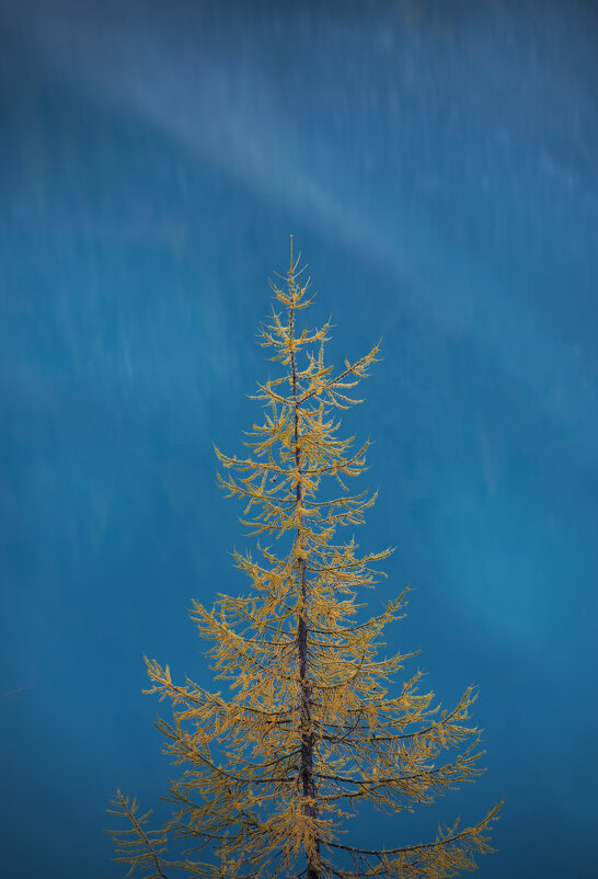 * - Александр Иванов