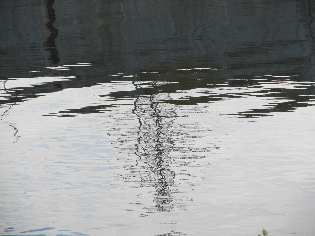 отражения - Елена Шаламова