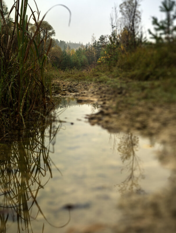 Пространство - sorovey Sol Пространство - sorovey Sol