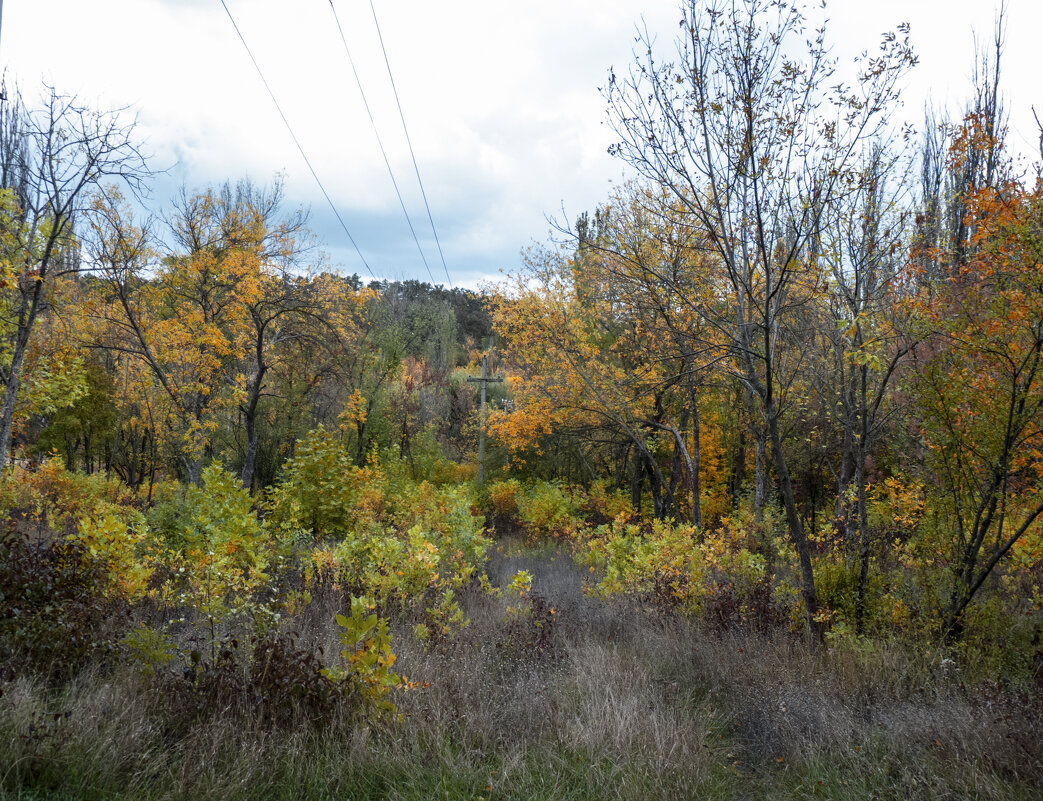 Осень золотая - Валентин Семчишин Осень золотая - Валентин Семчишин