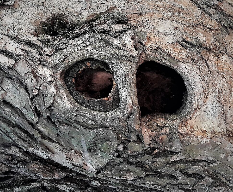 Посмотри мне в глаза - Виктор Никитенко