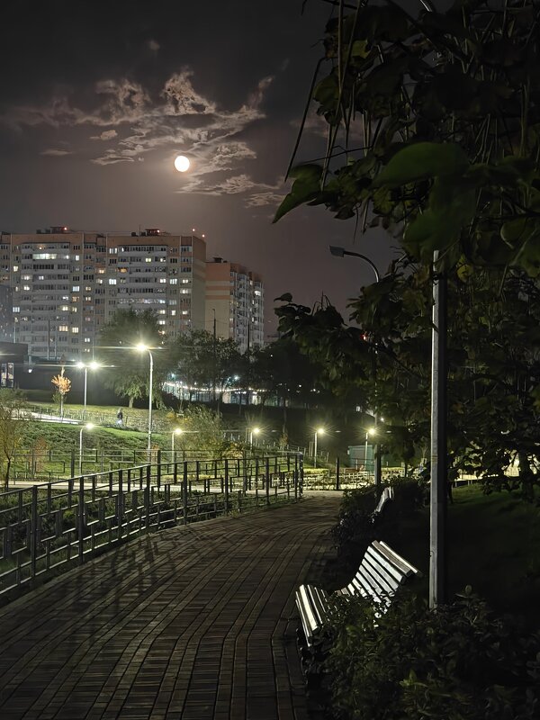 Ростовские зарисовки - Александр Гапоненко