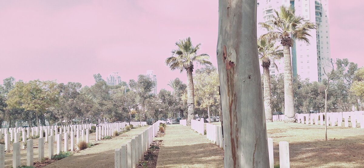 13  ОПЕН (483) - OPEN WAYS ALL