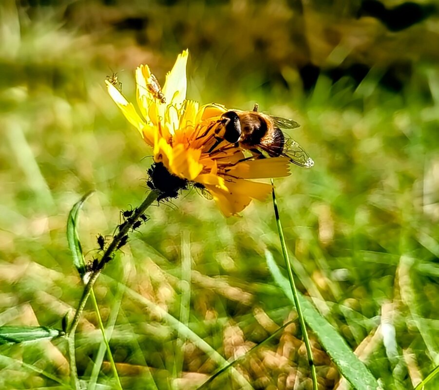 Октябрь - Михаил Столяров