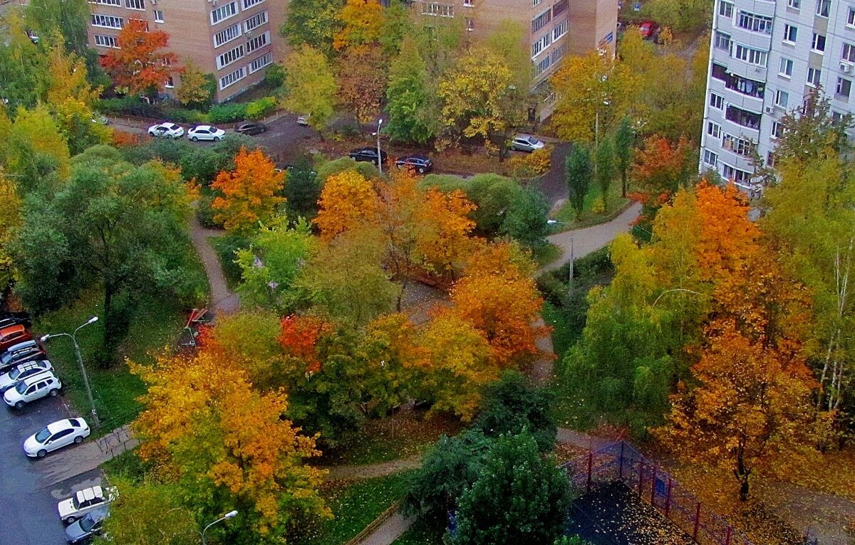 ..разноцветие осени в моём дворе.. - galalog galalog