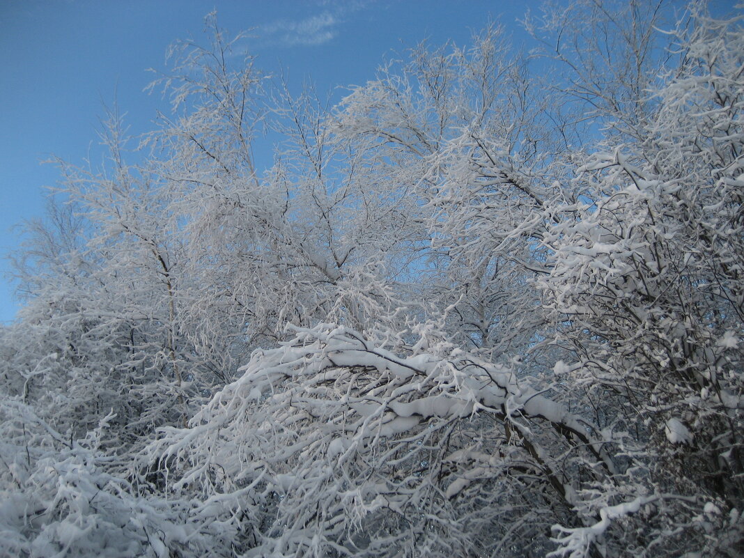 Зима - Anna Ivanova