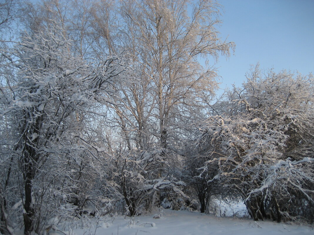 Зима - Anna Ivanova