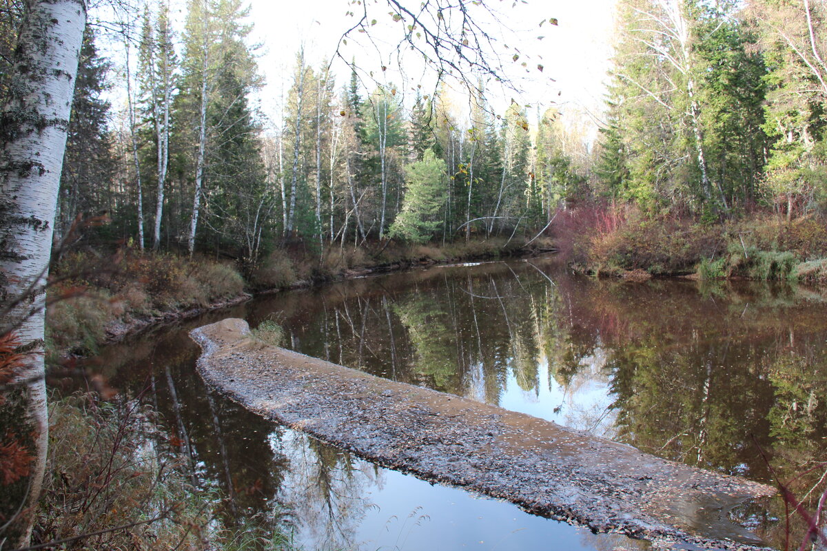 Речка Пыжина - Сергей Никифоров