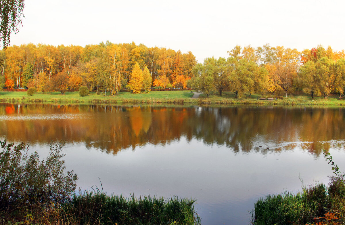 . - РИТА ЛЕВКОВА