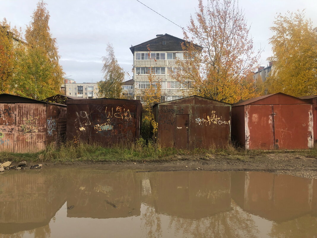 Фотография - Денис Безногов