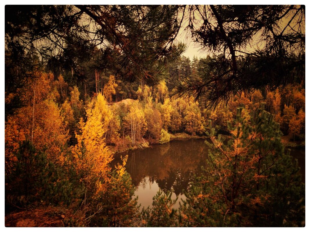 *** - someone somewere