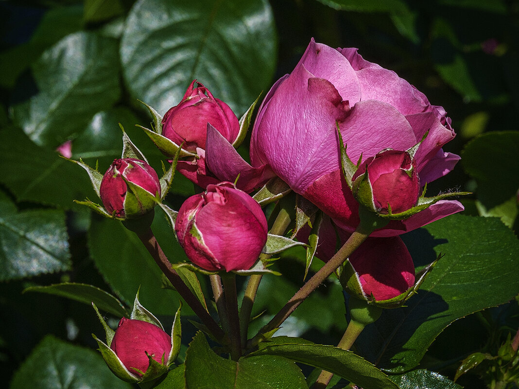 *** - Александр 