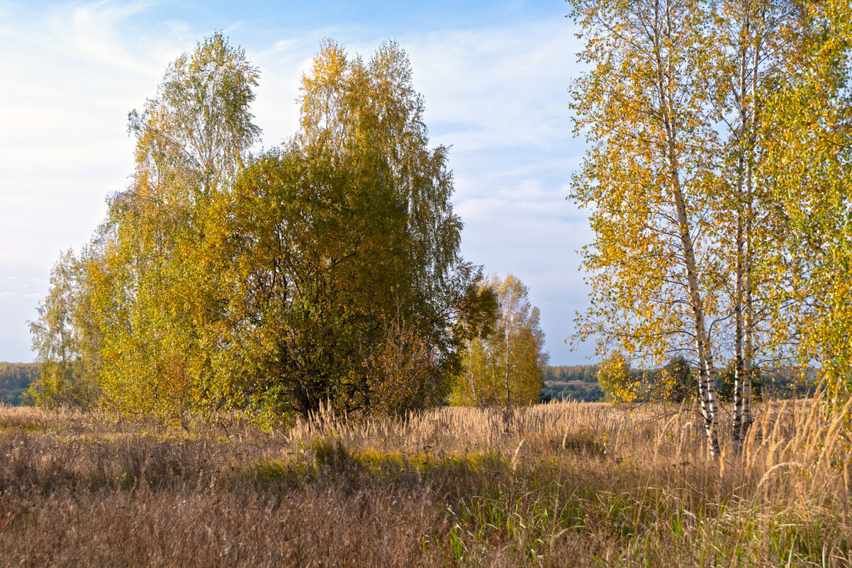 Осень - Александр 