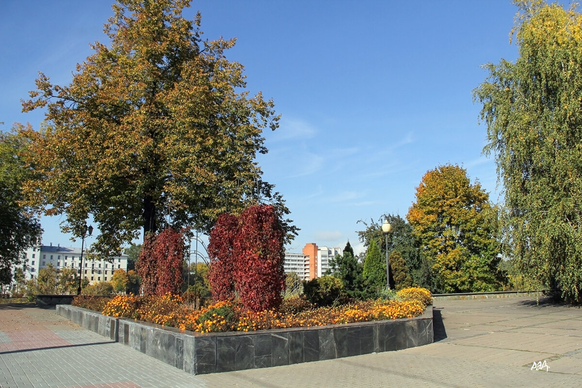 *** - Роланд Дубровский