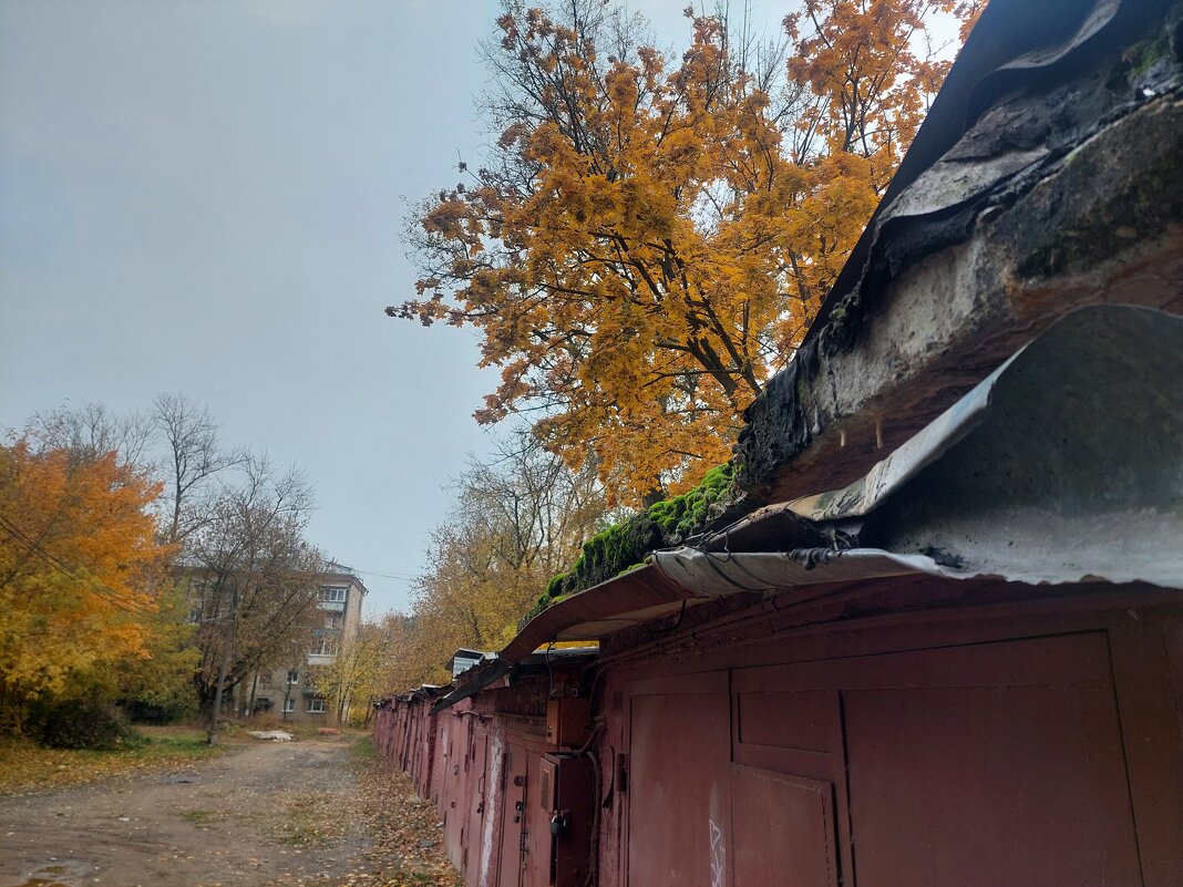 из зелени остался только мох. - Артём 