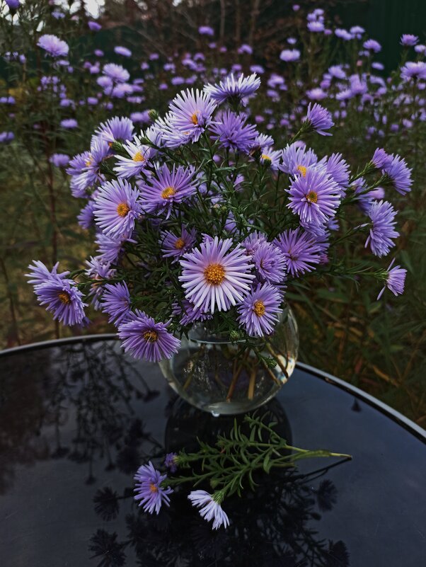 Нас осень балует подарками! - veilins veilins