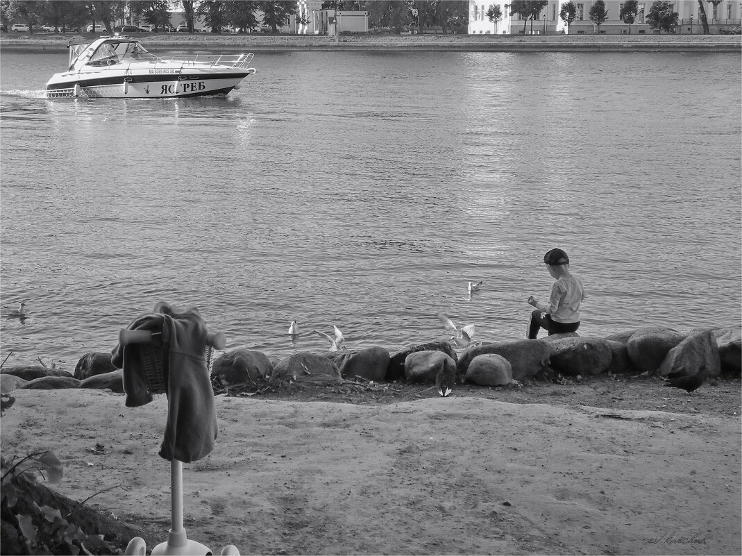 кормление ястребов - sv.kaschuk 