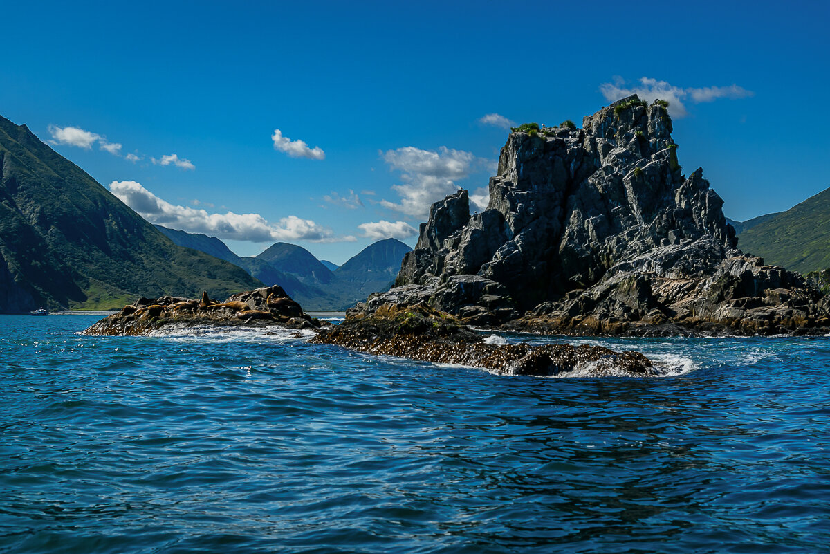 ... - Жора Житников ... - Жора Житников