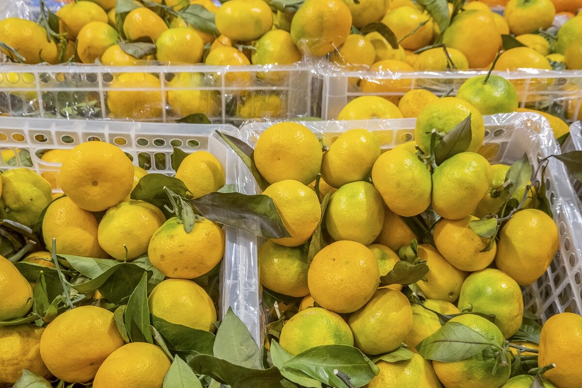 Пахнет Новым Годом - Валерий Иванович