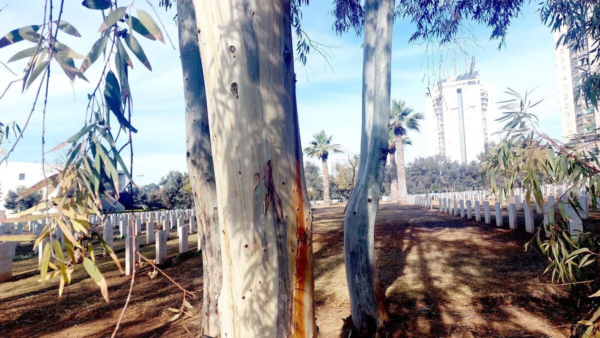 13  ОПЕН (491) - OPEN WAYS ALL