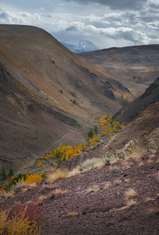 * - Александр Иванов