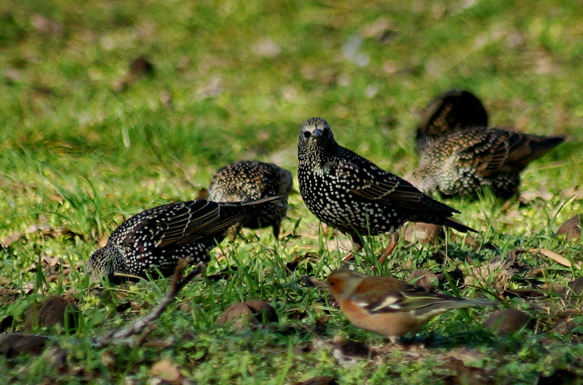 Перед вылетом нужно подкрепится... - Николай Саржанов