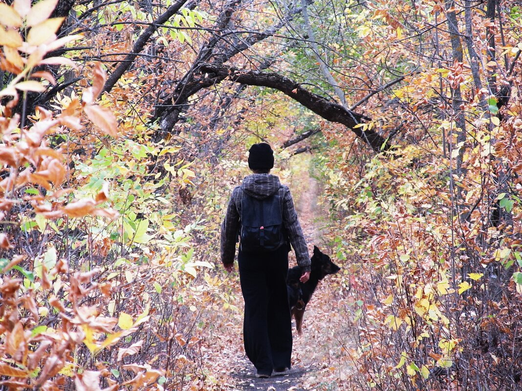 на лесной тропинке - Елена Шаламова на лесной тропинке - Елена Шаламова