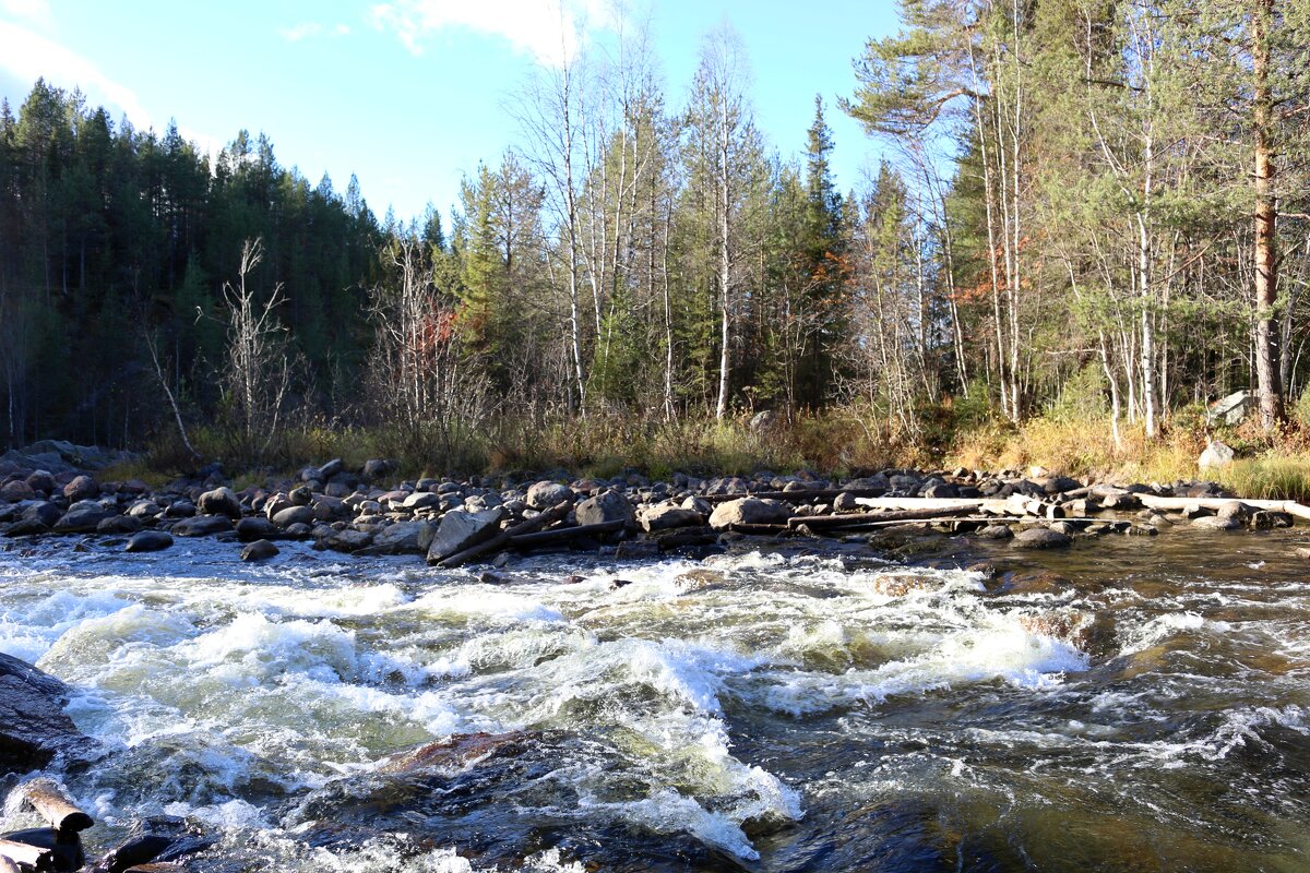 Осень на Колвице - Ольга 