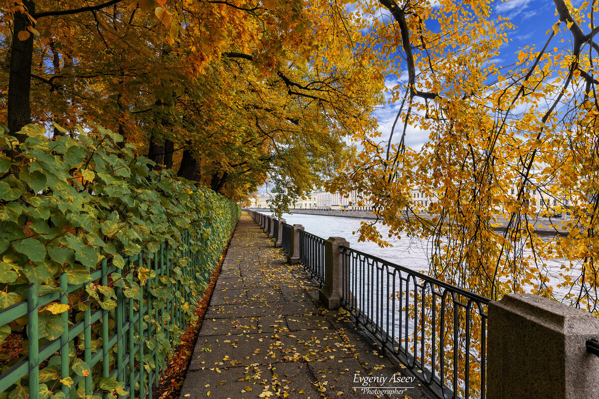 Осень в Летнем саду - Евгений 