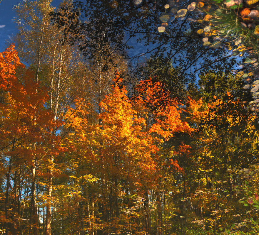 *** - Сергей Григорьев