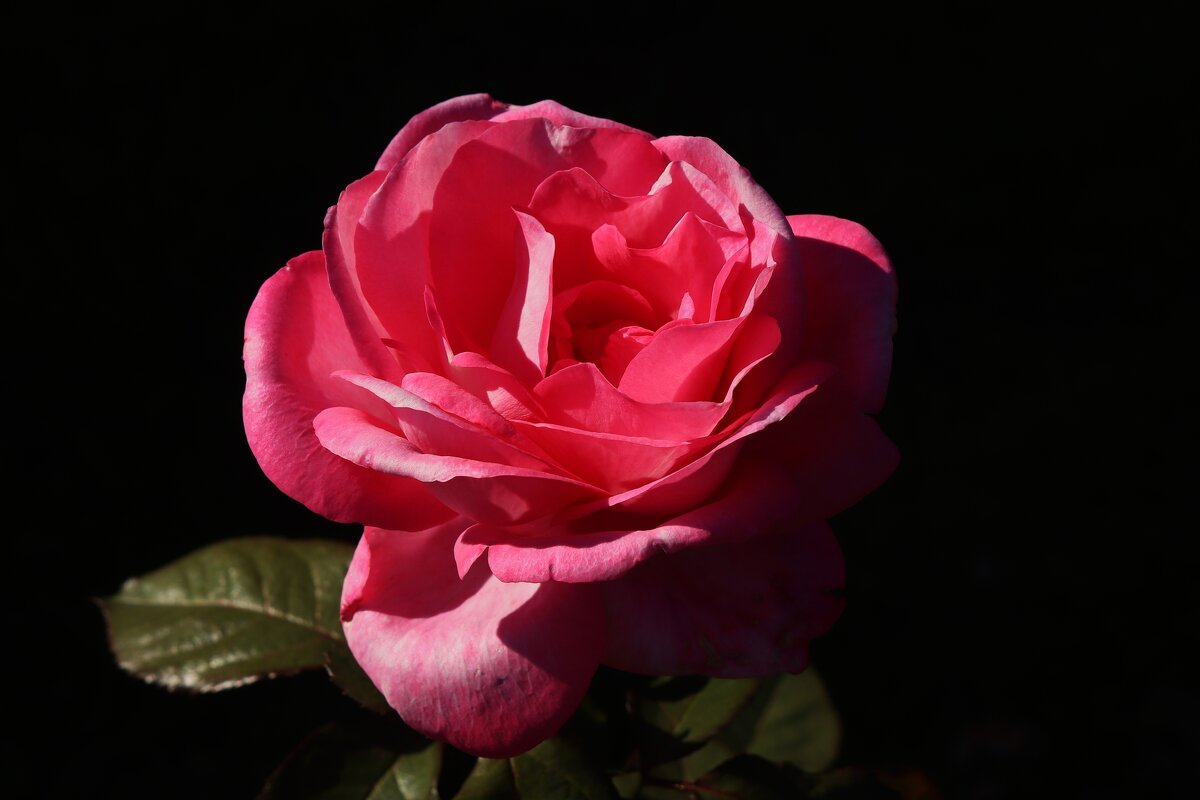 Доброе утро - Юрий. Шмаков