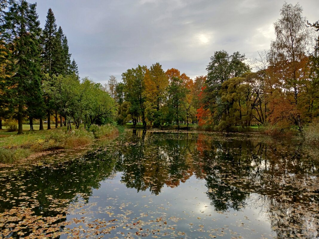 Октябрь - самый красивый месяц осени...! - Лия ☼