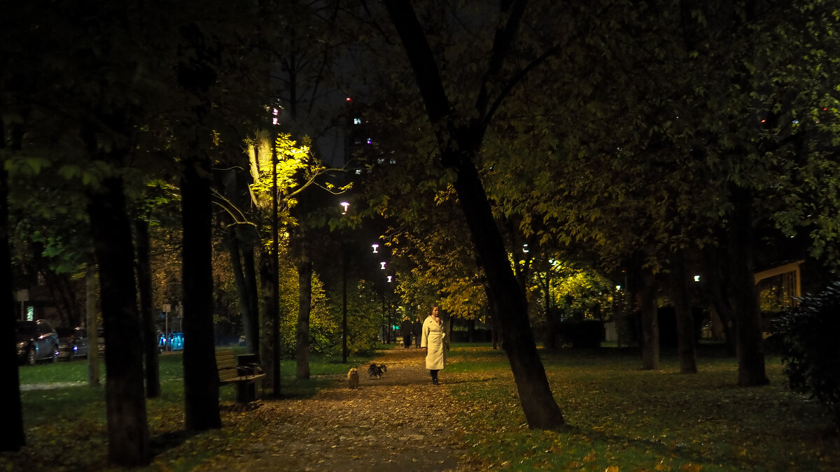 Осенний Вечер в Городе - юрий поляков