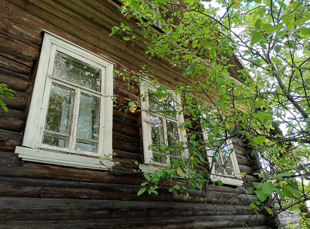 История небольшой деревеньки... - Мария Васильева