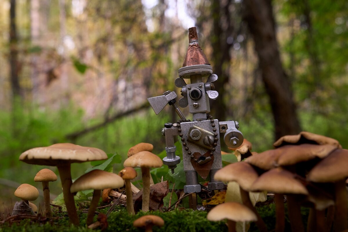 *** - Владимир 