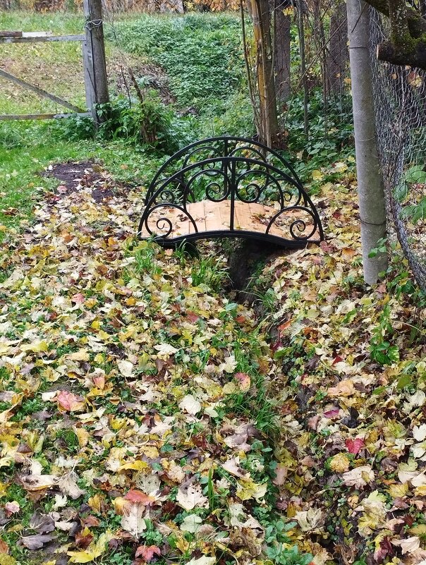 Осенний мостик - Сергей Лындин