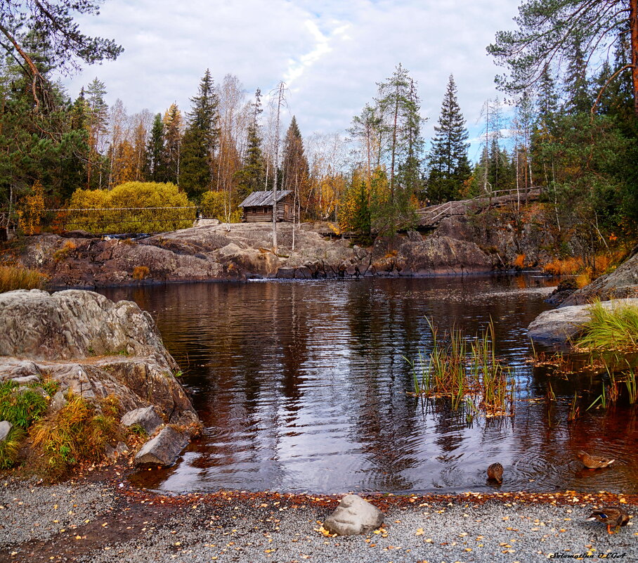 А зори здесь тихие.... - Ольга Cоломатина