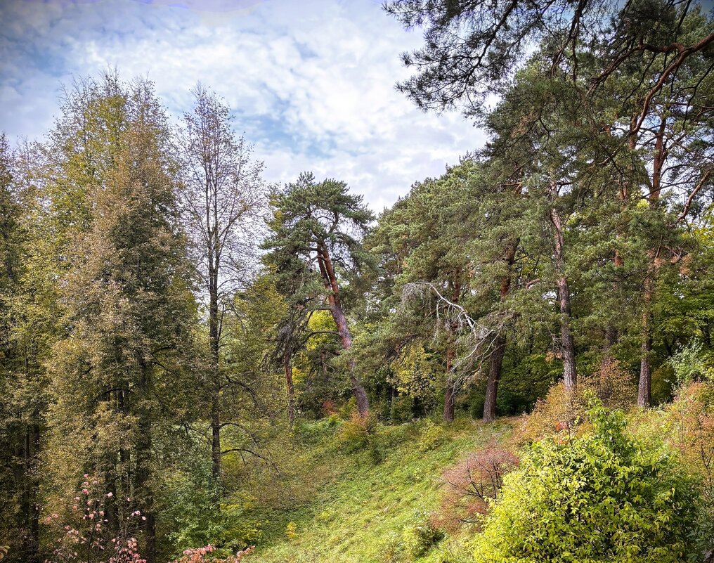 В осеннем лесу - Мария - Maria