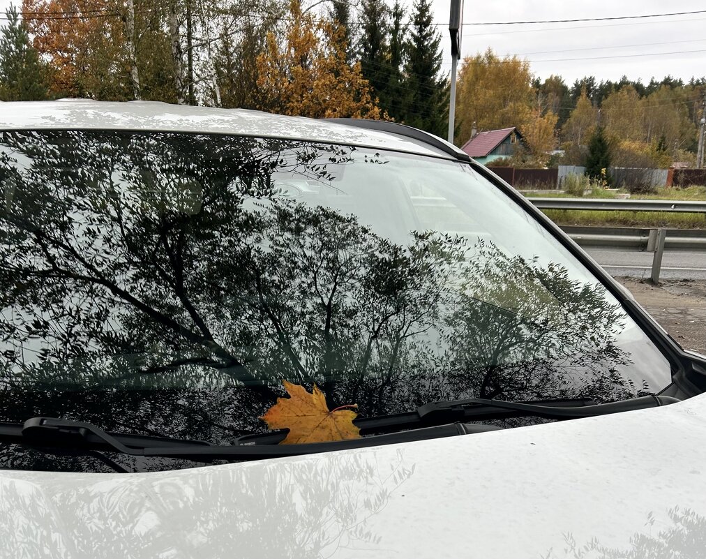 Осень - Светлана Ященко Осень - Светлана Ященко