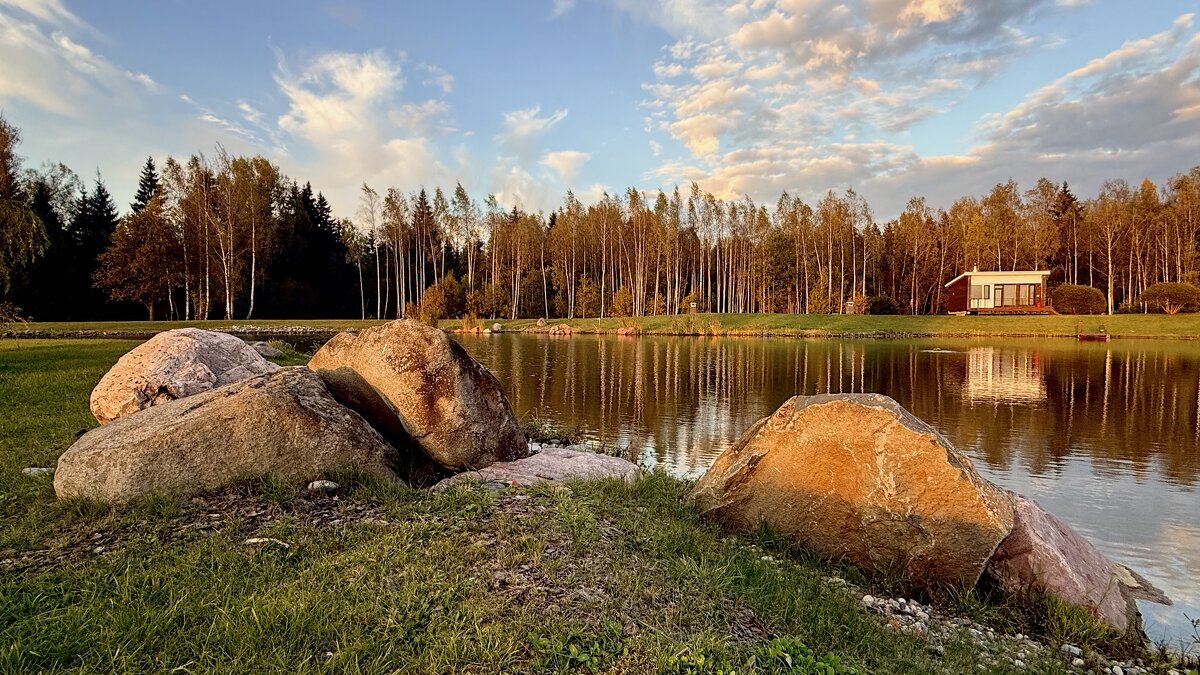 «Созерцая…» - Арина Невская