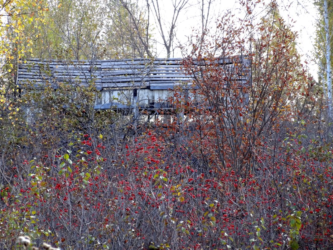 ЗАБРОШЕННАЯ  ДАЧА - СЕРГЕЙ ФИЛОЧКИН