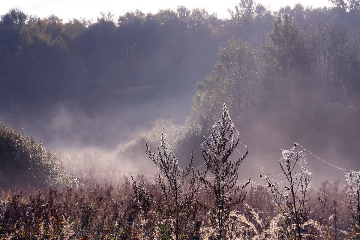 Октябрь - Михаил Бибичков